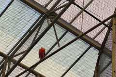 WhatsApp-Image-2026-05-10-at-21.03.52-1