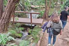 WhatsApp-Image-2026-05-10-at-21.03.52-2